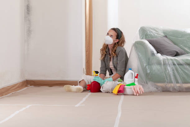 Reliable Commercial Mold Remediation contractor in Miami Gardens, FL by WQB Mold Removal